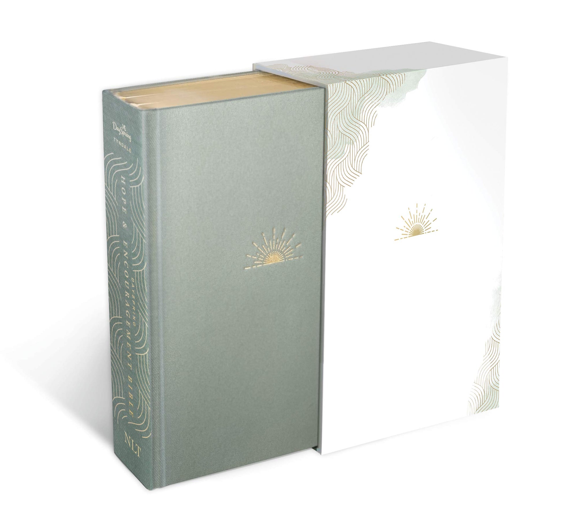 NLT DaySpring Hope & Encouragement Bible (Hardcover Deluxe, Seafoam Green)