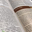 NIV Study Bible, Fully Revised Edition (Study Deeply. Believ