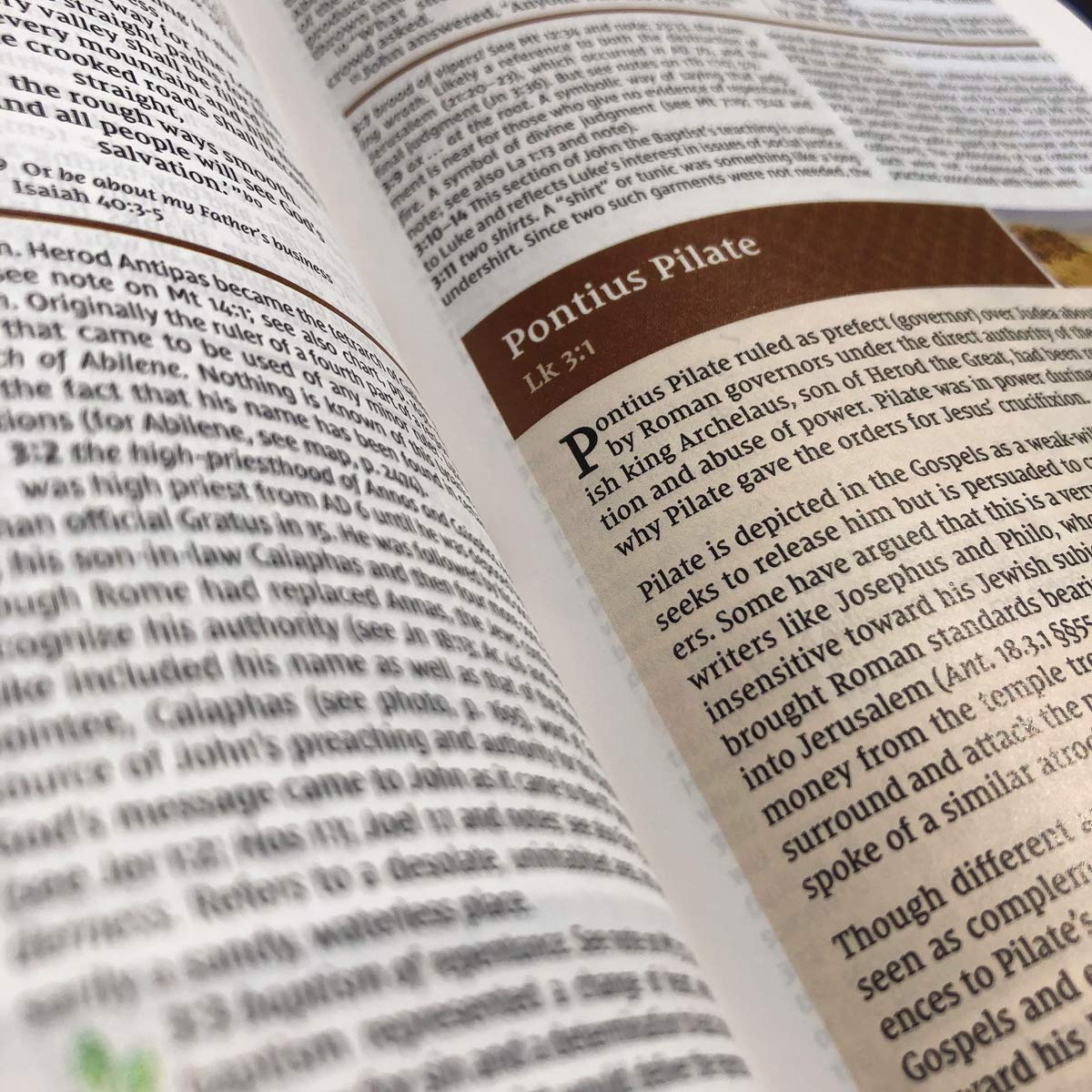 NIV Study Bible, Fully Revised Edition (Study Deeply. Believ