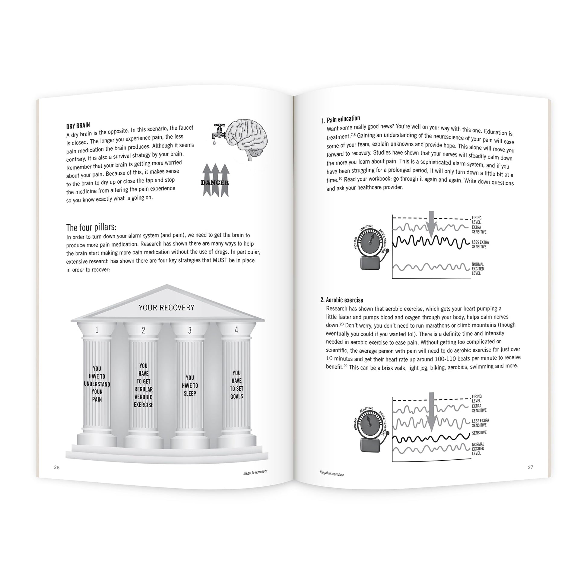 Why Do I Hurt? Workbook: Neuroscience Education Workbook for Patients with Pain