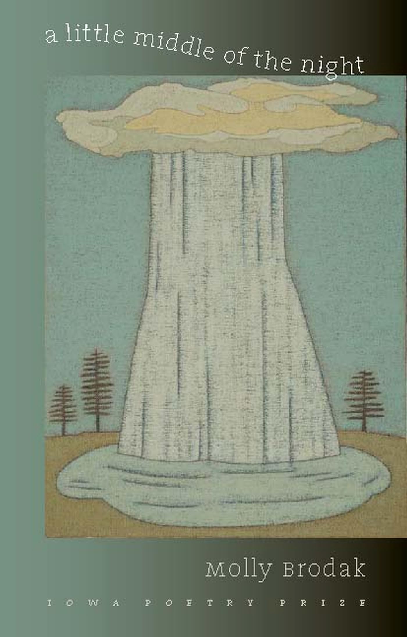 A Little Middle of the Night (Iowa Poetry Prize)