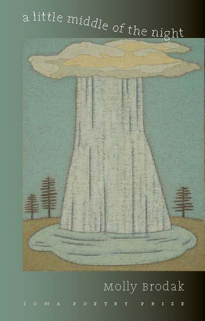 A Little Middle of the Night (Iowa Poetry Prize)