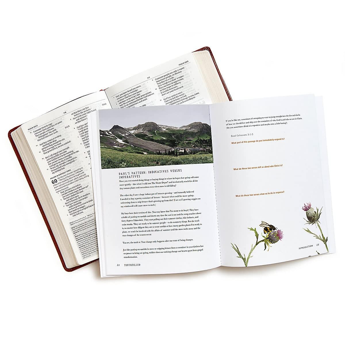 TruthFilled - Bible Study Book