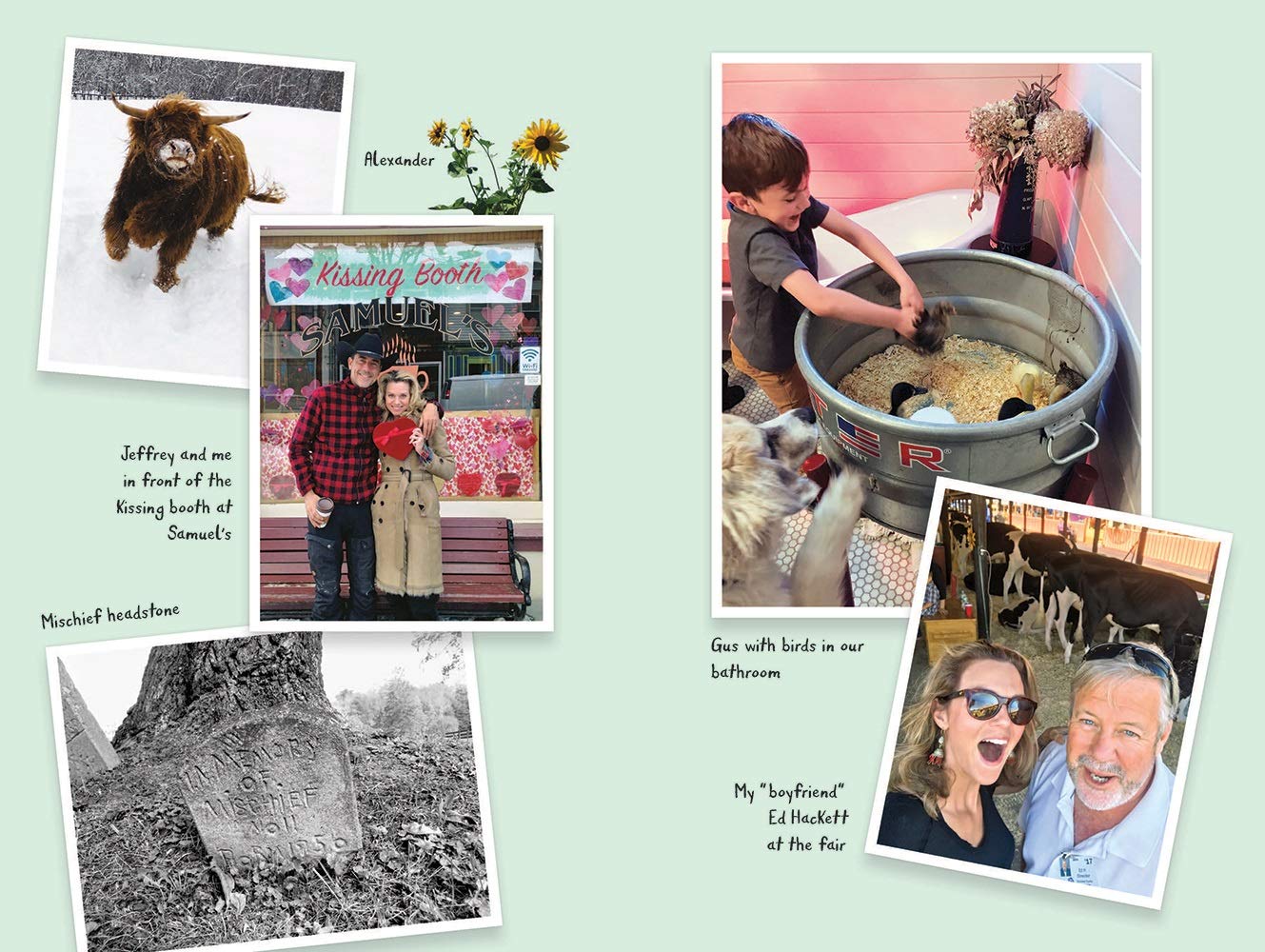 The Rural Diaries: Love, Livestock, and Big Life Lessons Dow