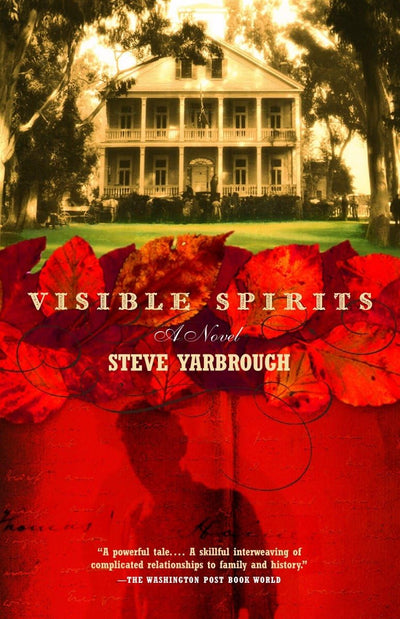 Visible Spirits: A Novel (Vintage Contemporaries)