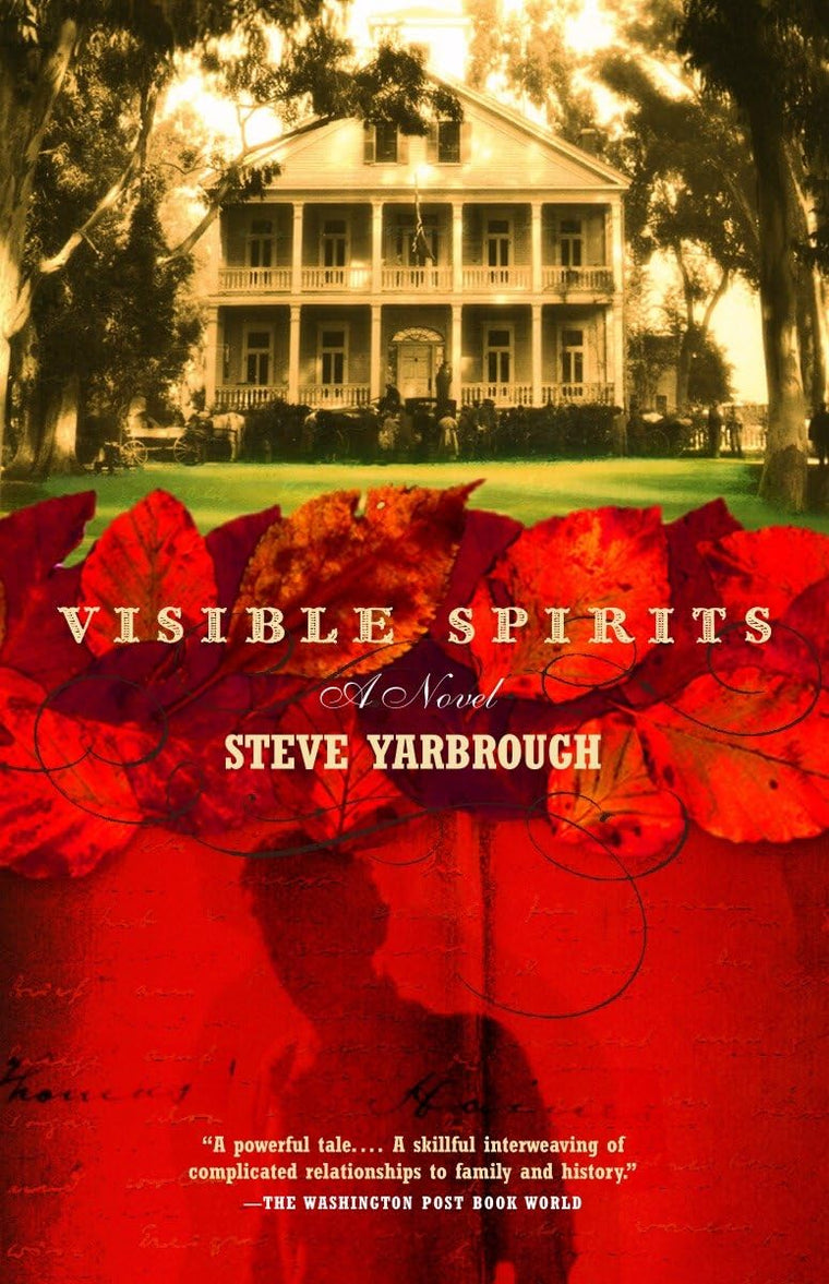 Visible Spirits: A Novel (Vintage Contemporaries)