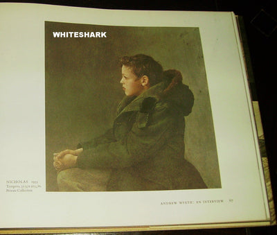 The Art of Andrew Wyeth by Wanda M. Corn