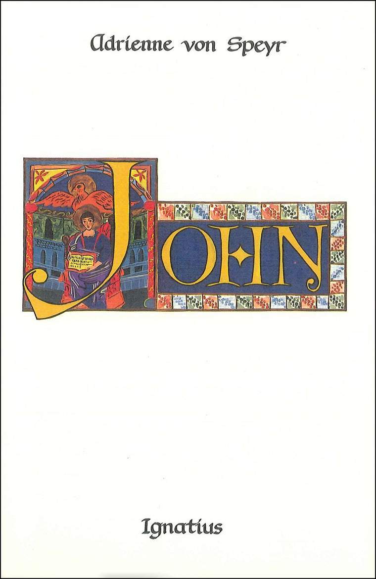 The Birth of the Church: Meditations on John 18-21 (Volume 4)
