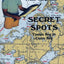 Secret Spots--Tampa Bay to Cedar Key: Tampa Bay to Cedar Key: Florida's Best Saltwater Fishing Book 1 (Coastal Fishing Guides)