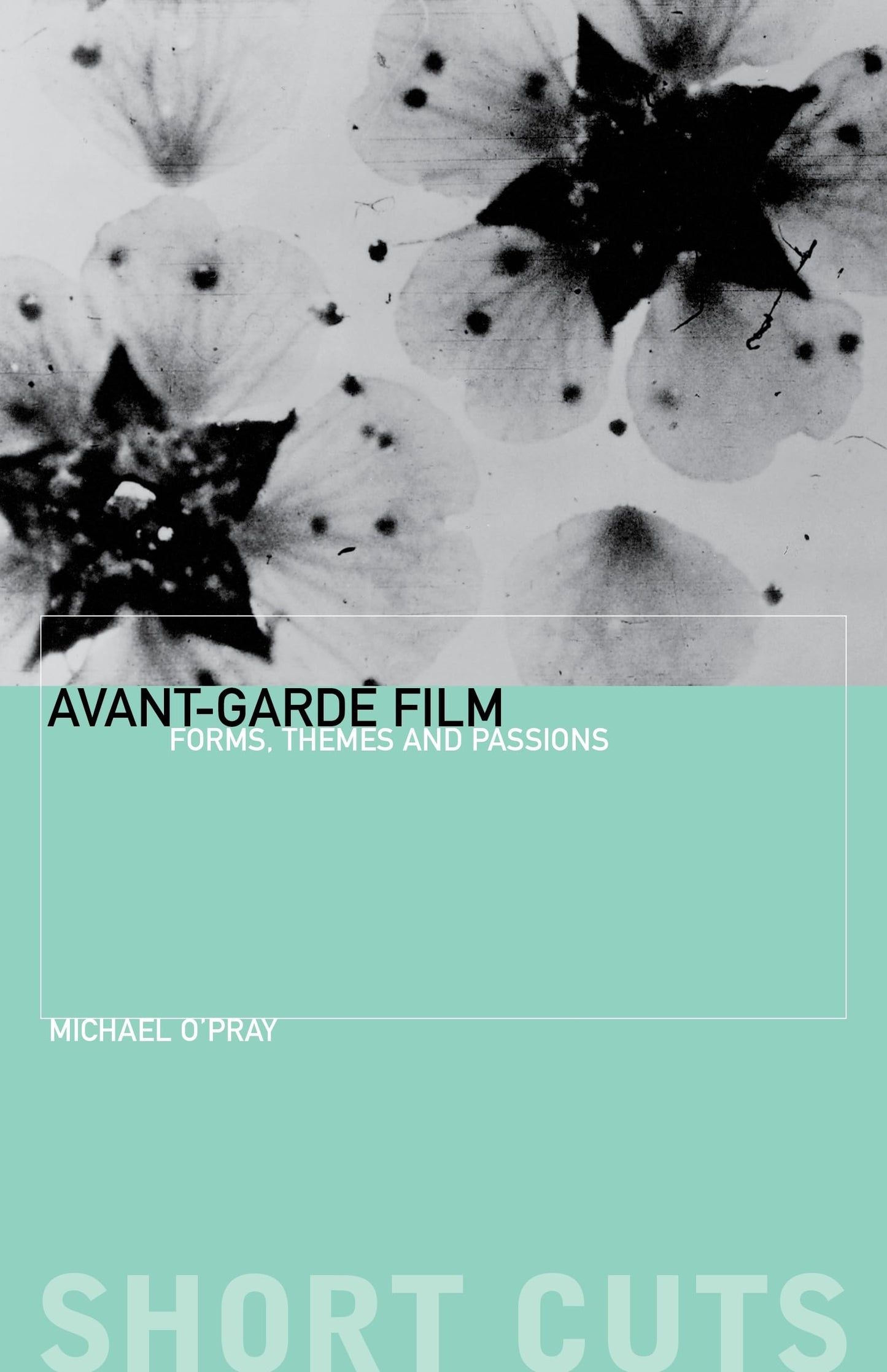 Avant-Garde Film: Forms, Themes and Passions (Short Cuts)