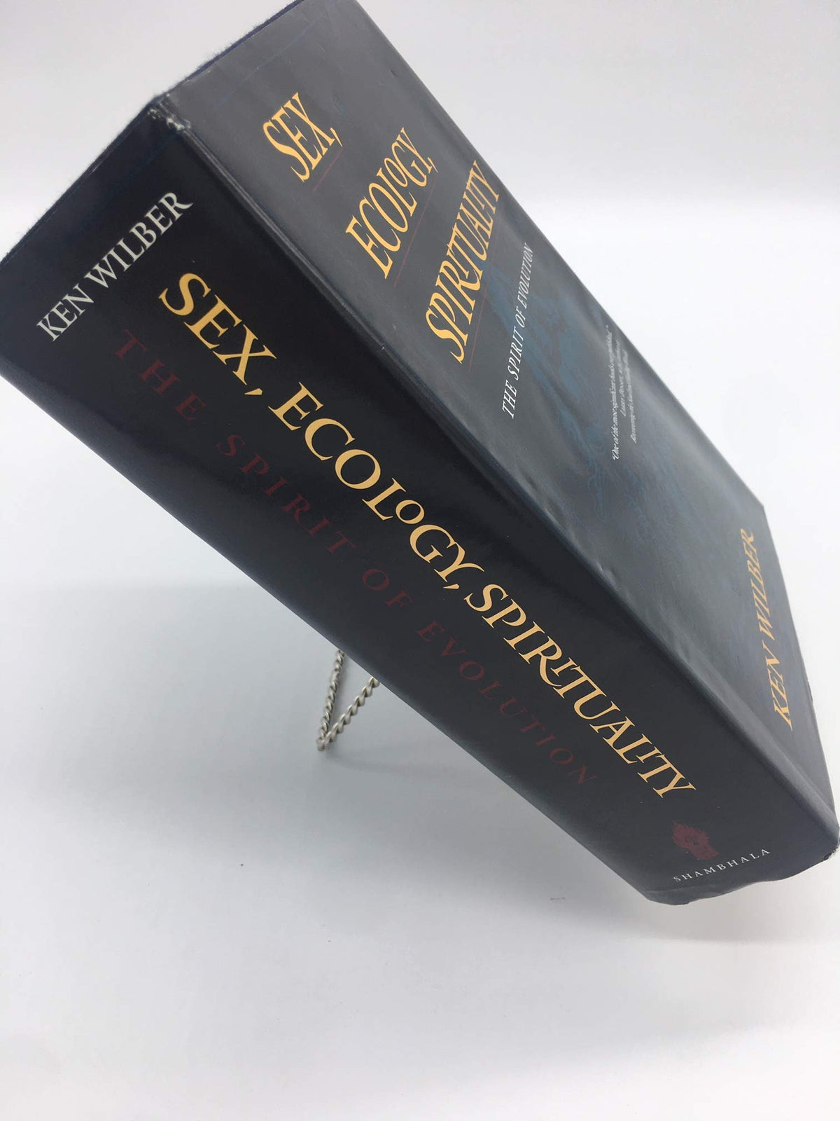 Sex, Ecology, Spirituality: The Spirit of Evolution