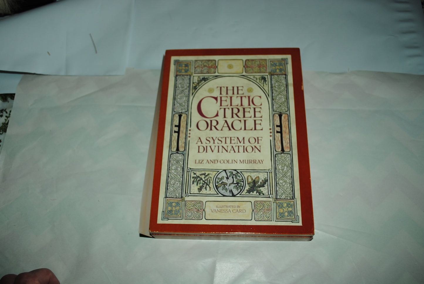 The Celtic Tree Oracle: A System of Divination