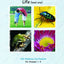 R.E.A.L. Science Odyssey- Life (level one) (R.E.A.L. Science -Read, Explore, Absorb & Learn Science)