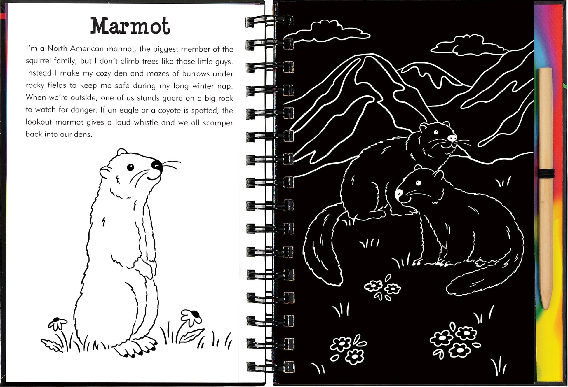 Llamas & Friends Scratch & Sketch (Trace Along)