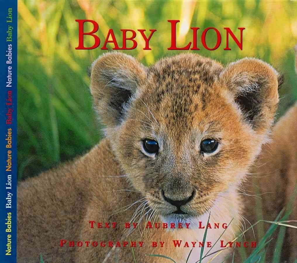 Baby Lion (Nature Babies)