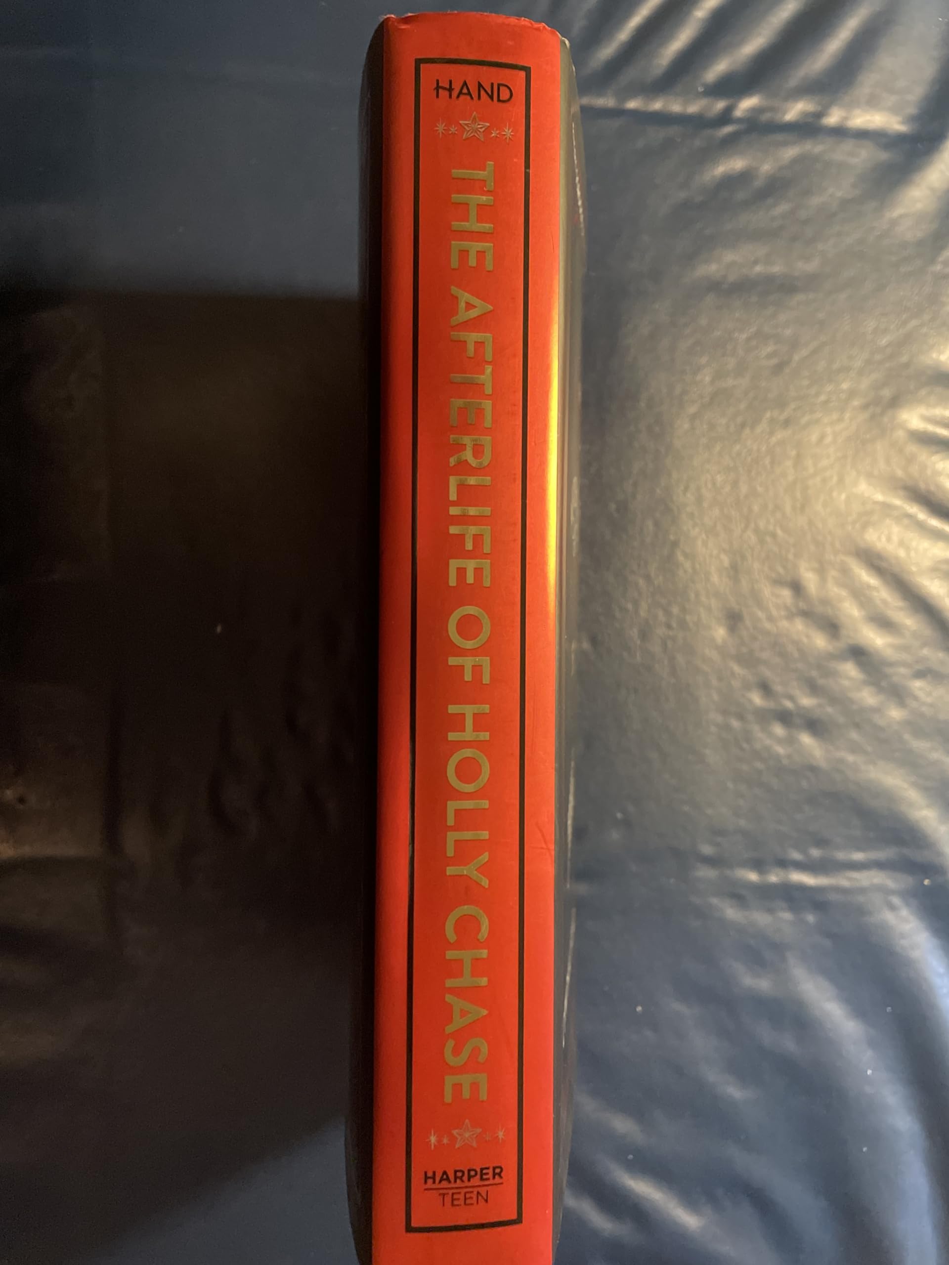 The Afterlife of Holly Chase: A Christmas and Holiday Book