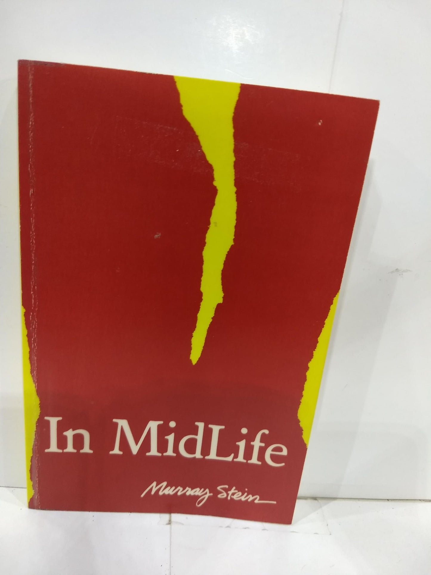 In Midlife: A Jungian Perspective (Seminar Series 15) by Mur