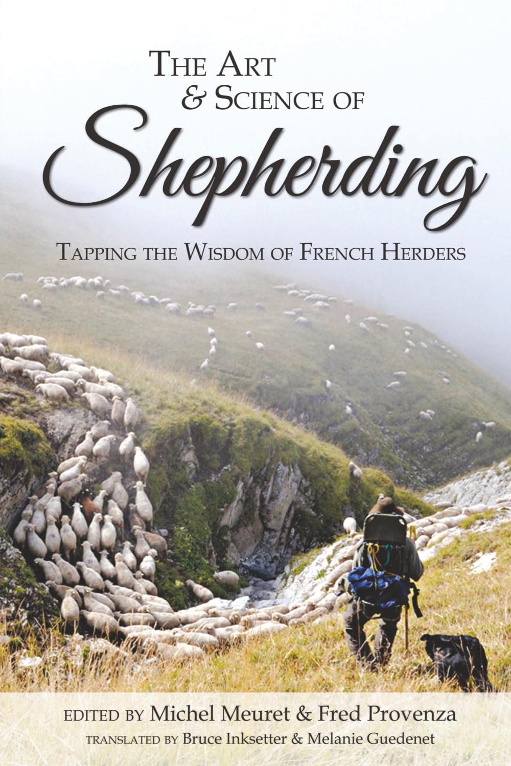 The Art and Science of Shepherding: Tapping the Wisdom of French Herders