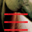 Pierce the Skin: Selected Poems, 1982-2007