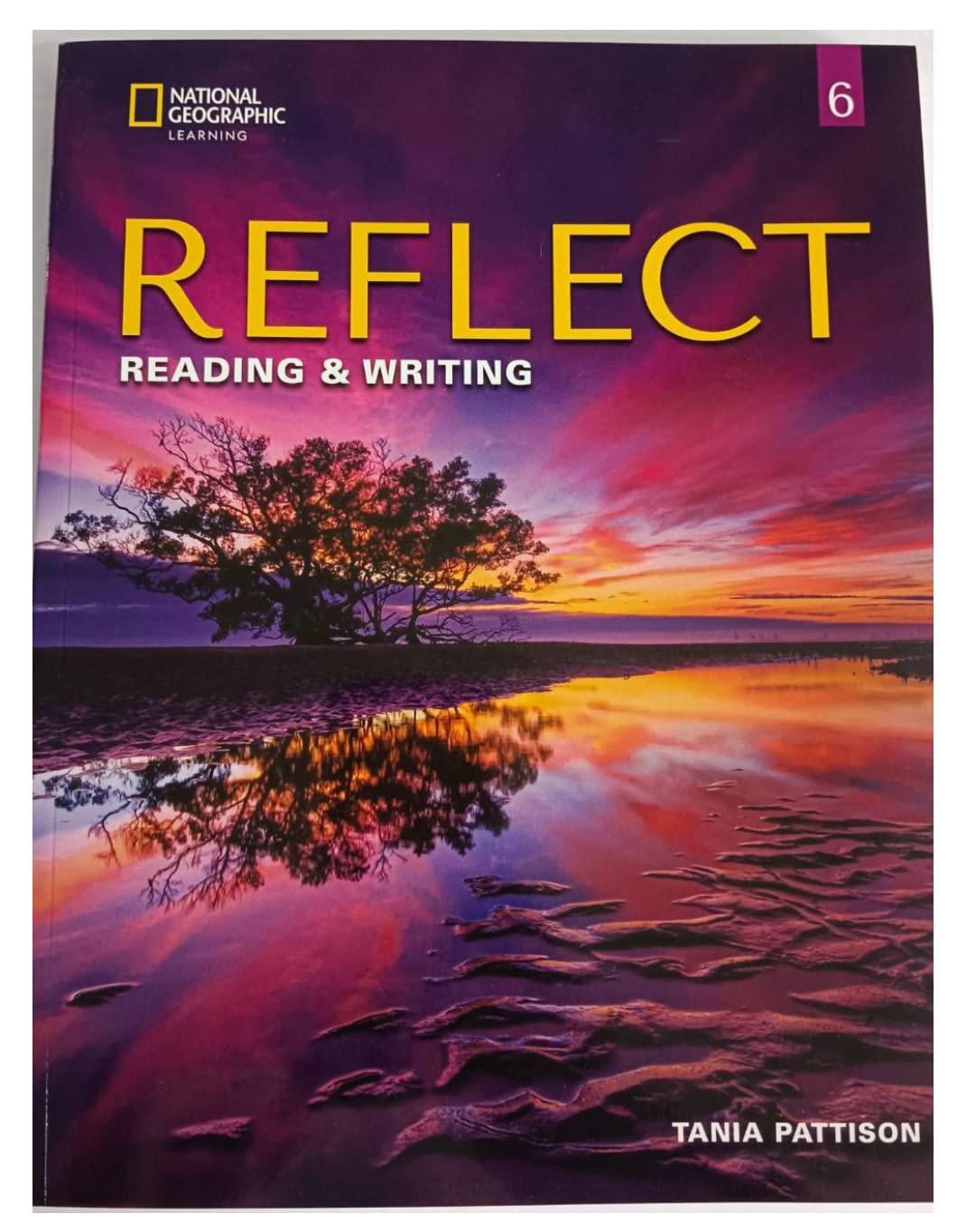 Reflect Reading & Writing 6 with the Spark Platform