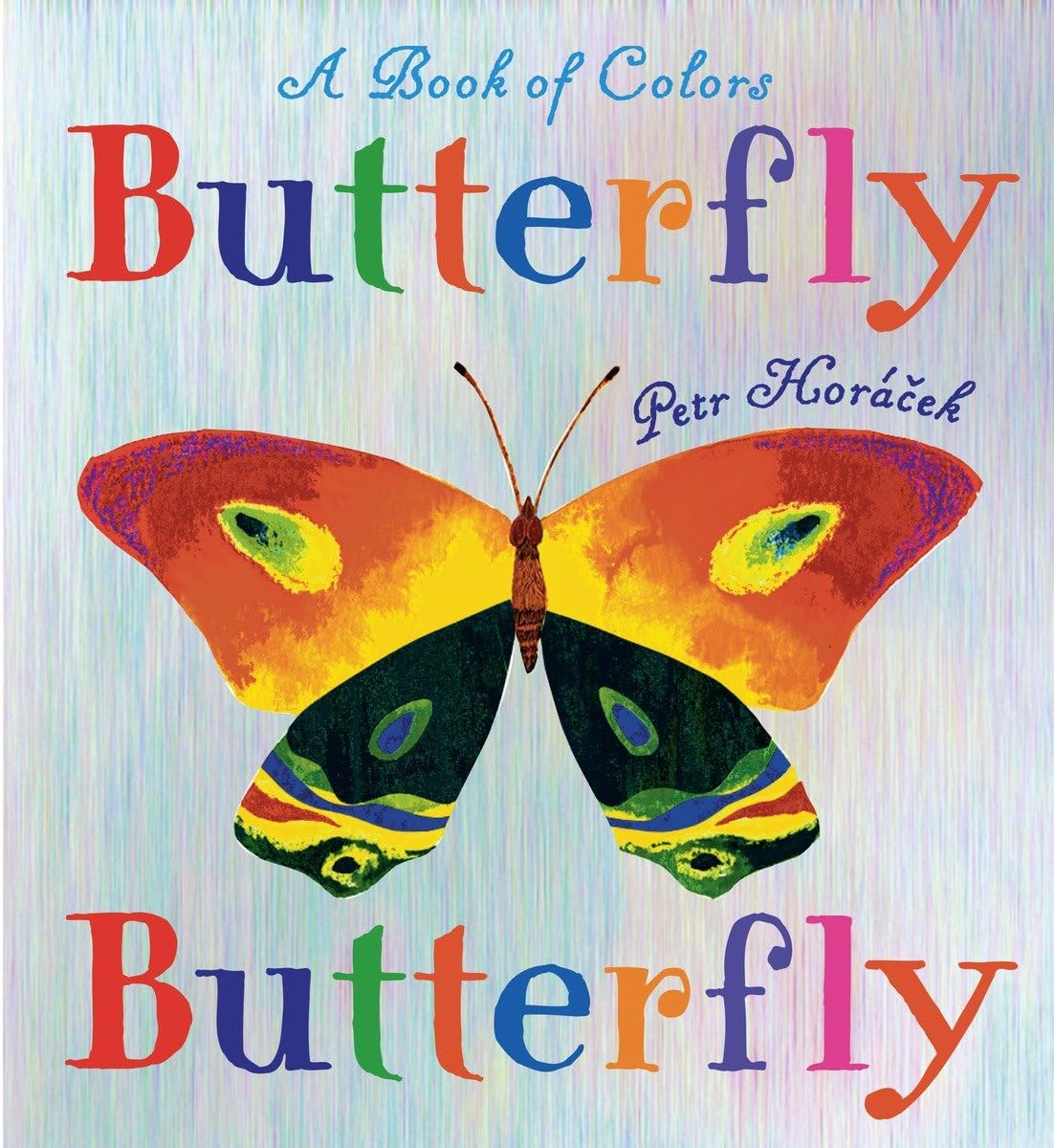 Butterfly Butterfly: A Book of Colors by Horacek, Petr