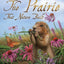 The Prairie that Nature Built