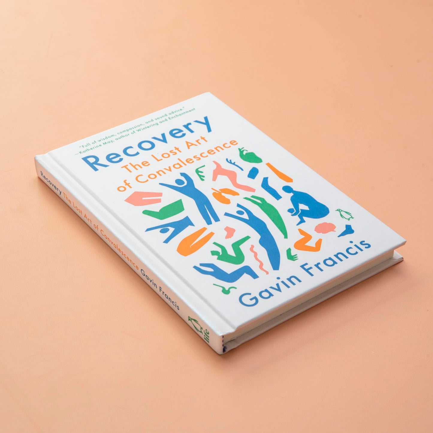 Recovery: The Lost Art of Convalescence by Francis, Gavin
