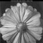 Structure & Surprise: Engaging Poetic Turns
