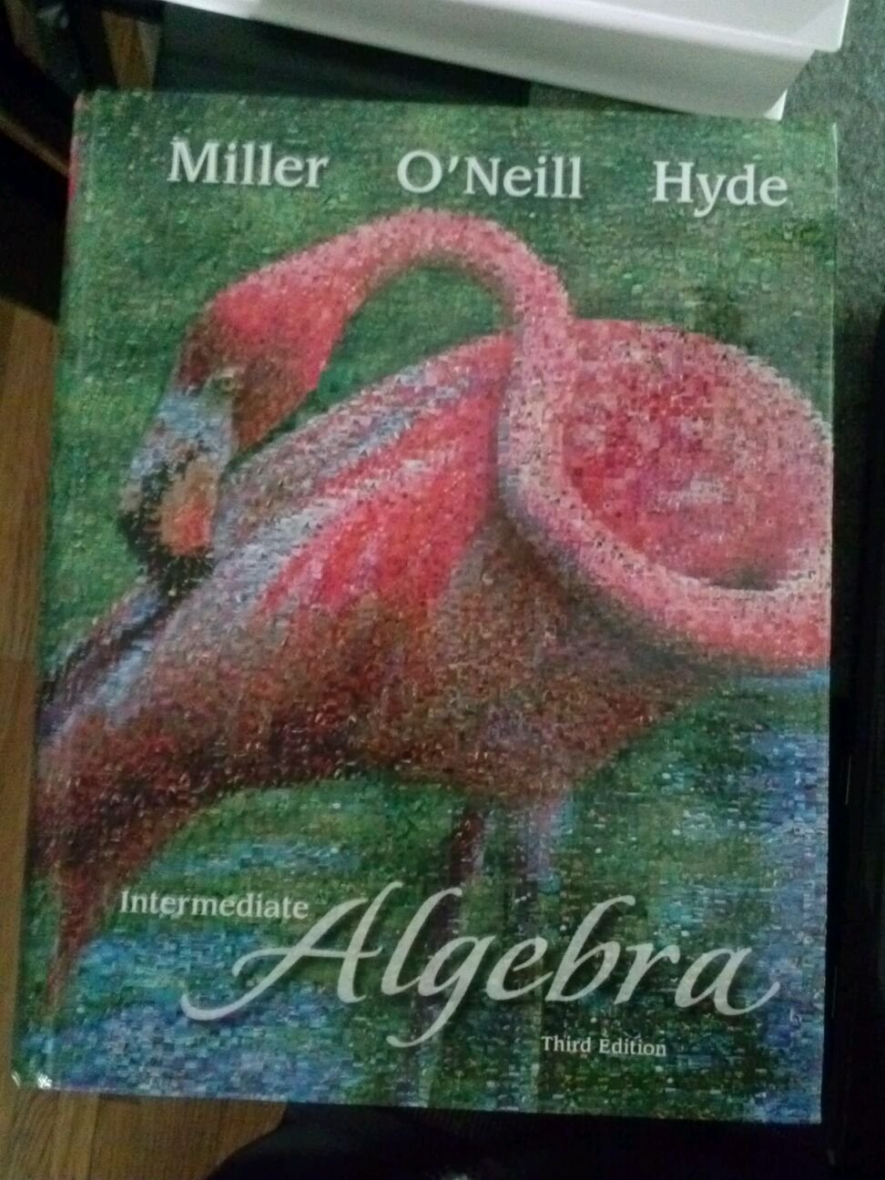 Intermediate Algebra (Hardcover) by Julie Miller