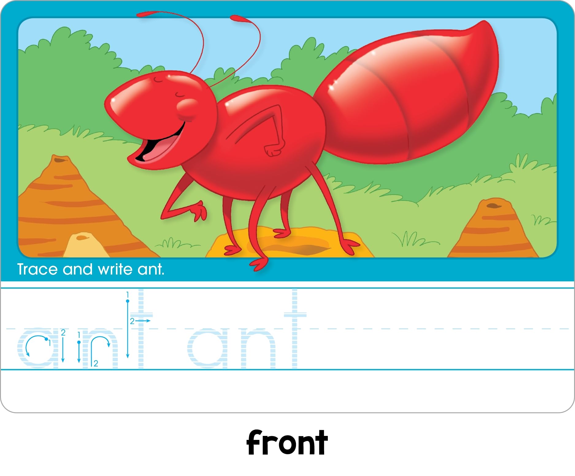 School Zone Three-Letter Words Write & Reuse Learning Cards: 32 Interactive Flash Cards, Preschool, Kindergarten, Letter & Word Recognition, Printing, Wipe Clean, Includes Dry Erase Marker