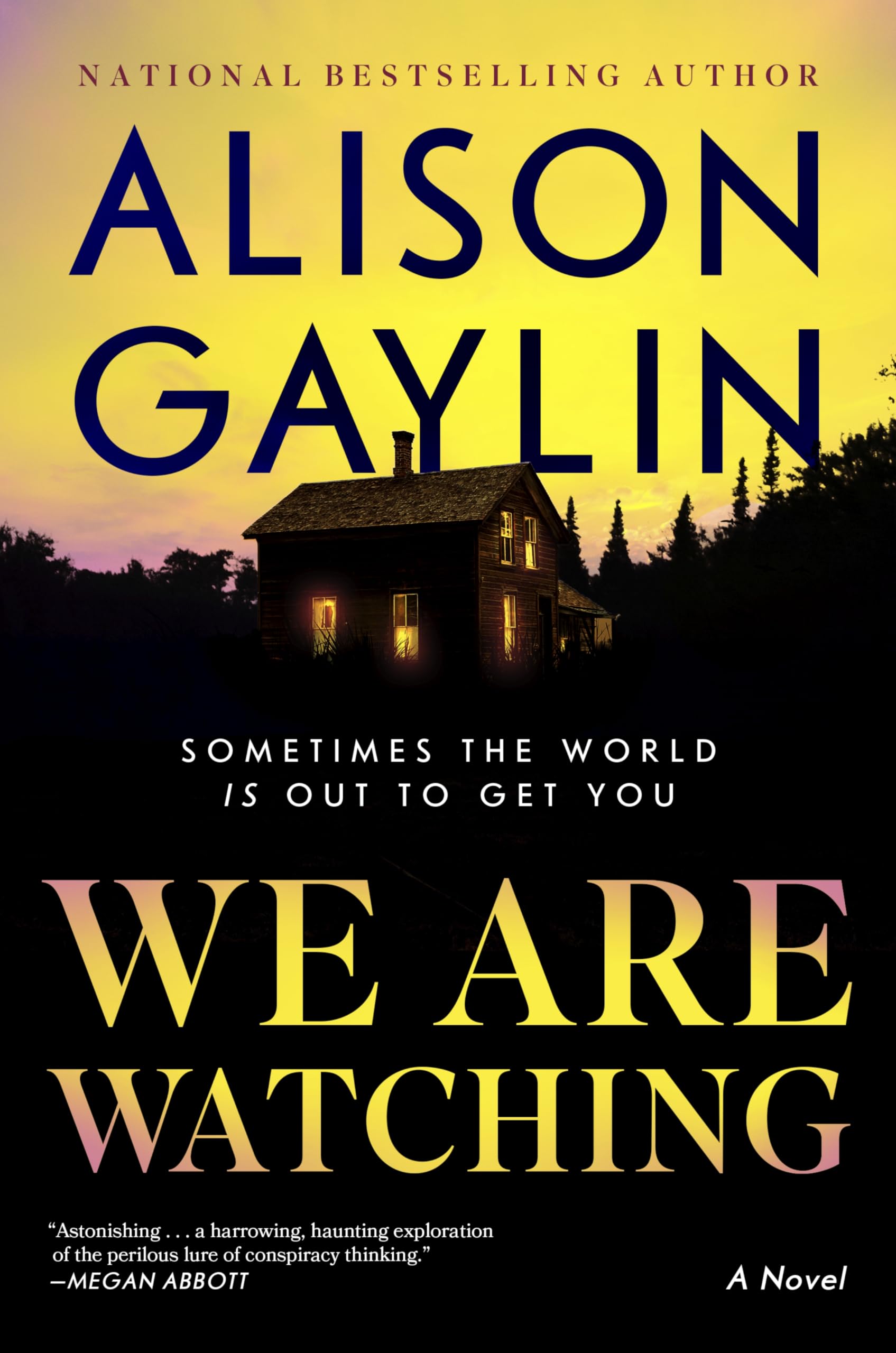 We Are Watching: A Novel