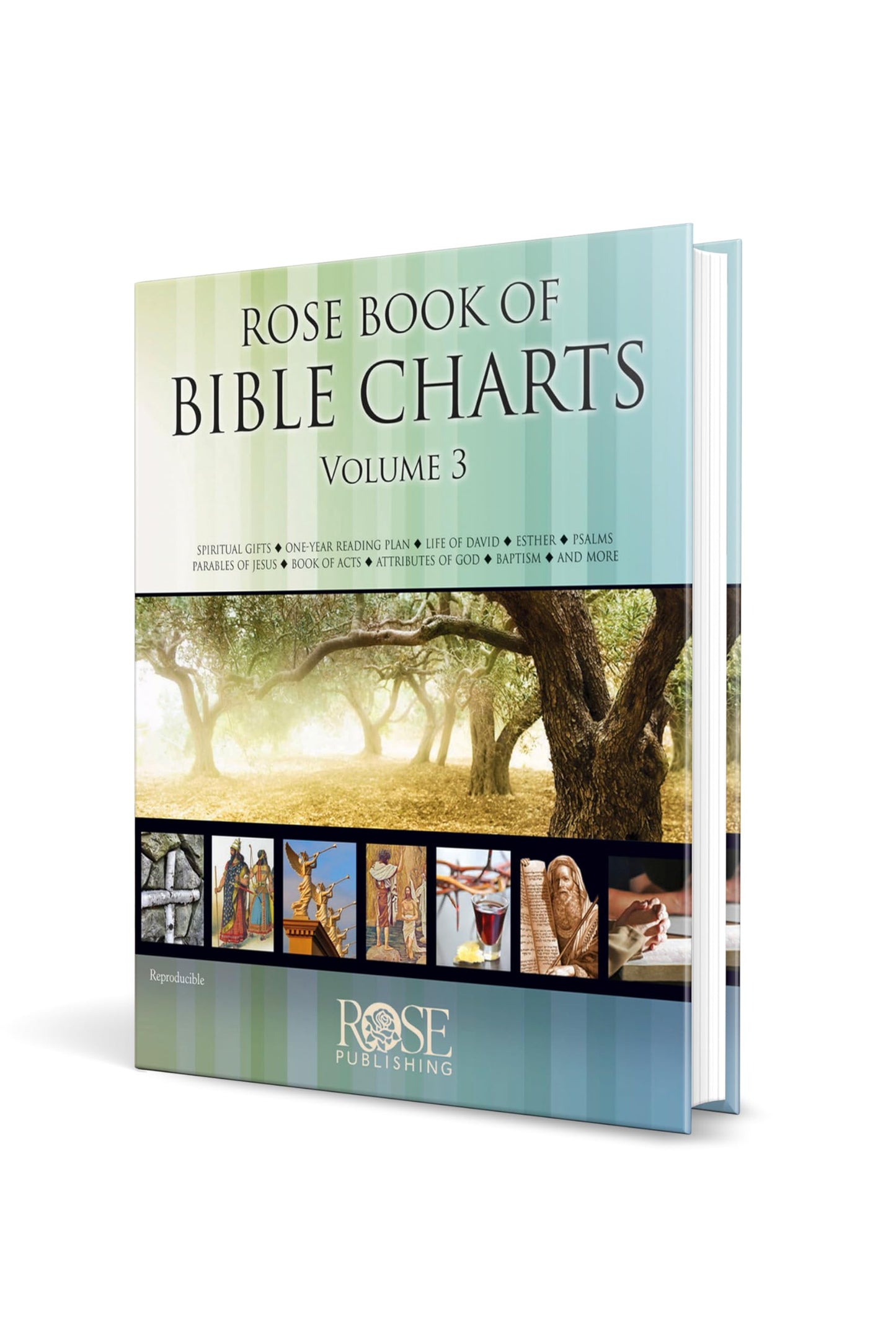 Rose Book of Bible Charts, Volume 3