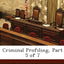 Criminal Profiling, Part 5 of 7