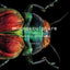 Microsculpture: Portraits of Insects
