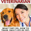 How to Become a Veterinarian: What They Do, How To Train, Daily Life As Vet, Is It Really The Right Career For You?
