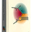 Quantum Field Theory: A Modern Introduction by Kaku, Michio