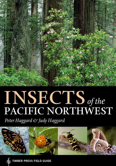 Insects of the Pacific Northwest (A Timber Press Field Guide)