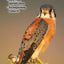 Raptors of Eastern North America: A Comprehensive Guide to All Species