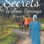 Secrets of Willow Springs - Book 1 (The Amish of Lawrence County)
