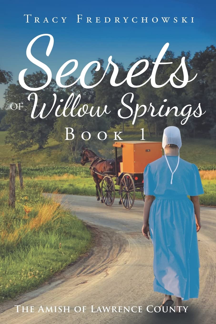 Secrets of Willow Springs - Book 1 (The Amish of Lawrence County)