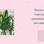 The Healing Power of Plants: The Hero Houseplants That Will Love You Back