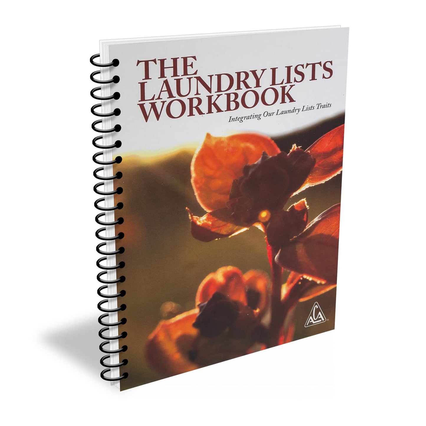 THE LAUNDRY LISTS WORKBOOK Integrating Our Laundry List Trai