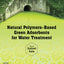 Natural Polymers-Based Green Adsorbents for Water Treatment