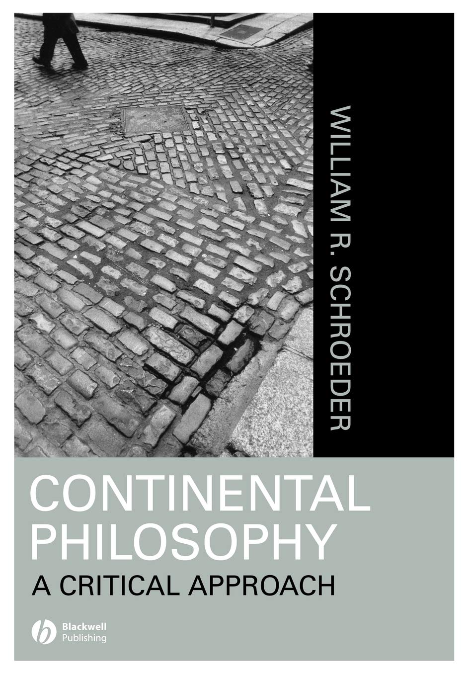 Continental Philosophy: A Critical Approach