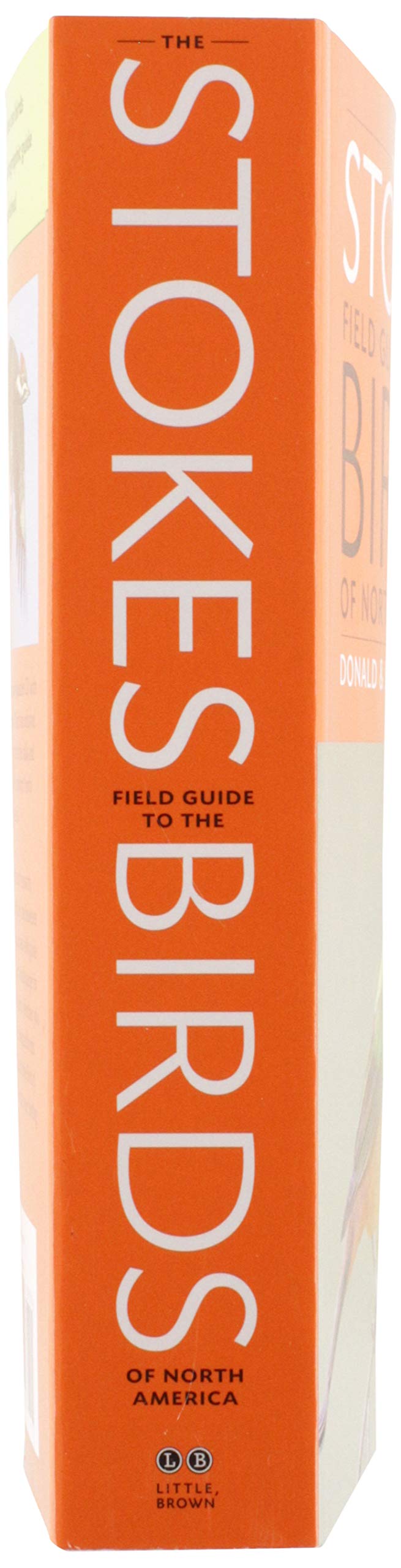 The Stokes Field Guide to the Birds of North America (Stokes Field Guides)