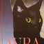 Aura: A Novel (English and Spanish Edition)