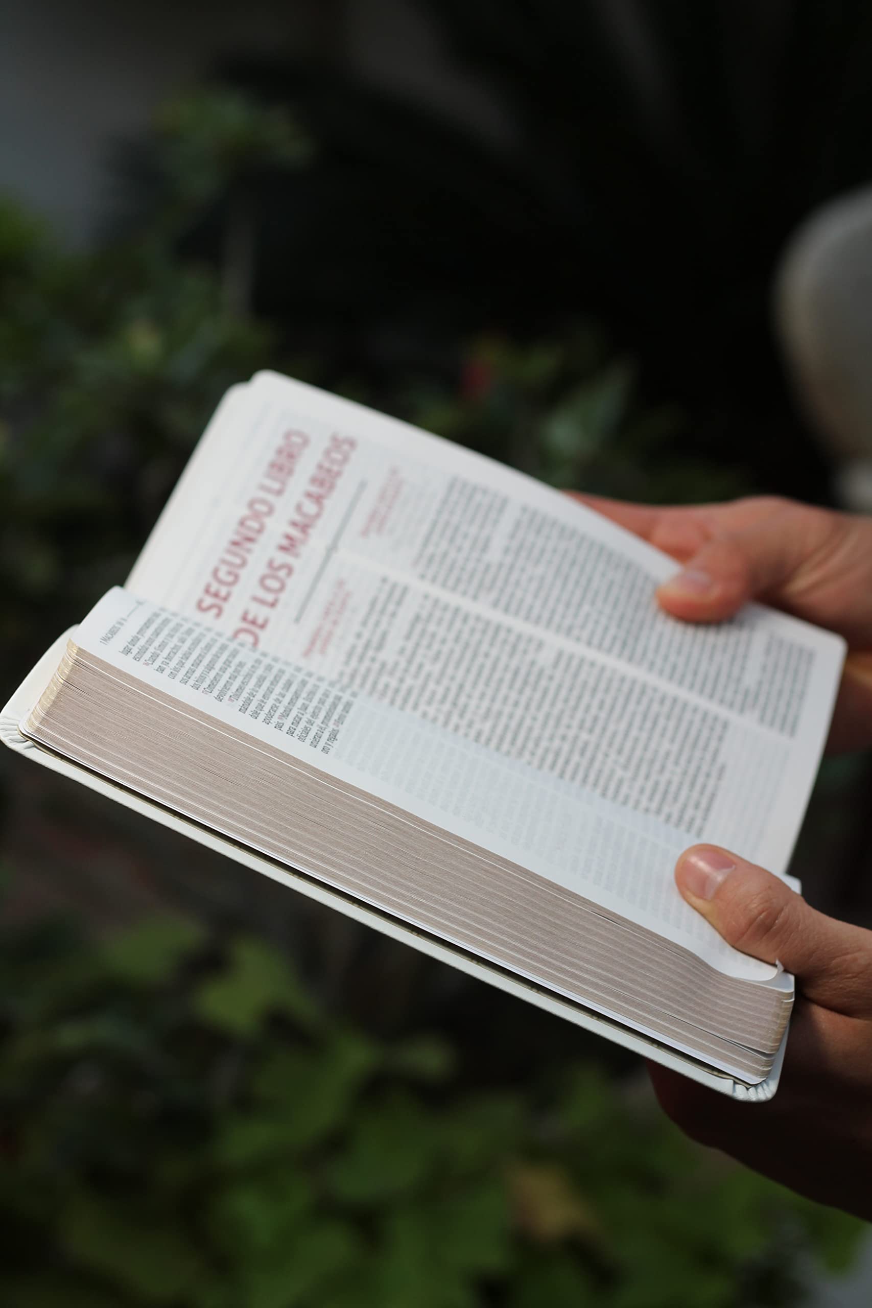 Biblia Catlica, Regalos y Ceremonias, Piel reciclada, Blanco, Comfort Print (Biblia De America) (Spanish Edition)