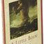 A Little Book on the Human Shadow: A Poetic Journey