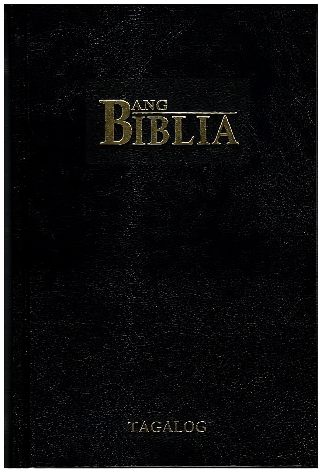 "Tagalog Bible"