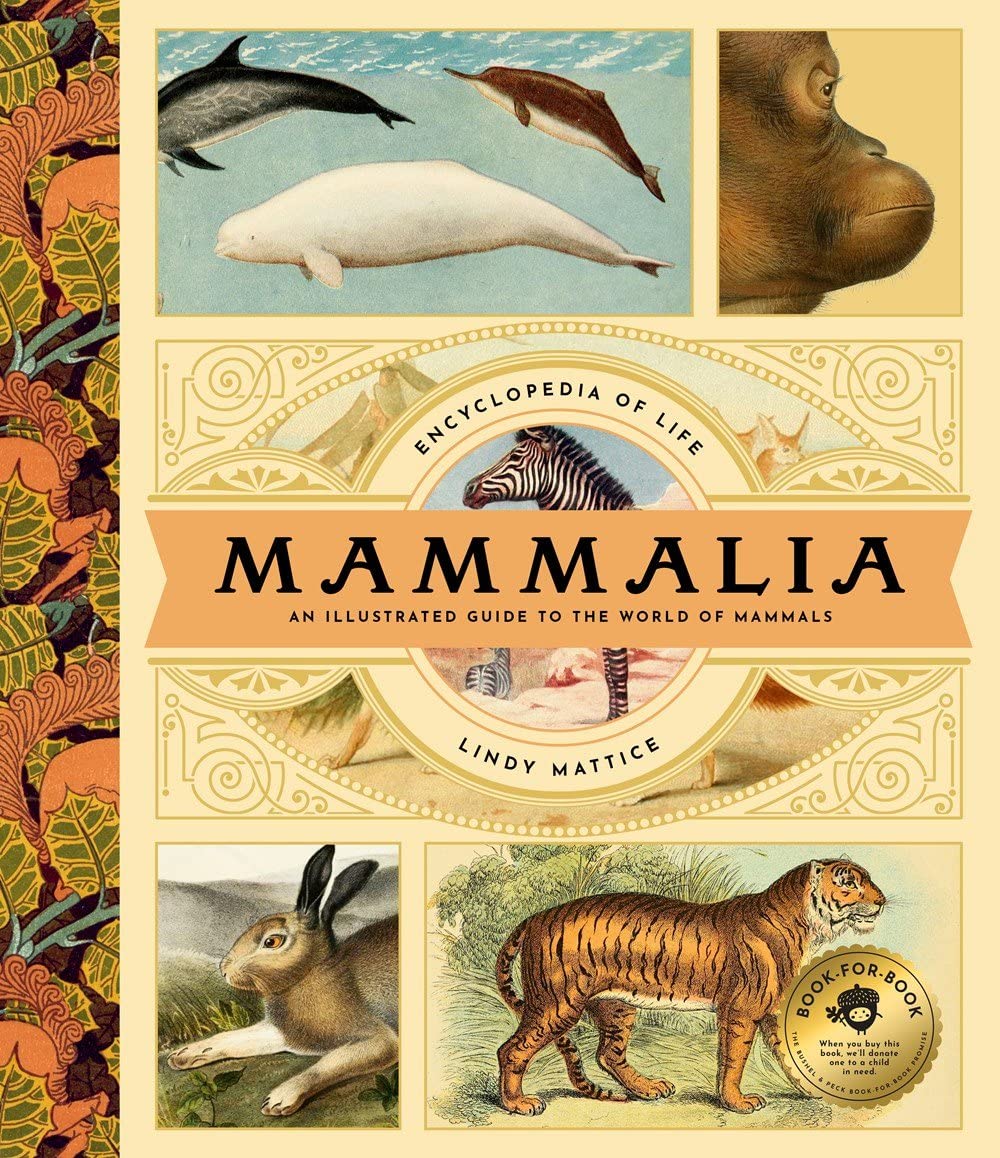 Mammalia: An Illustrated Guide to the World of Mammals (Encyclopedia of Life, 1)